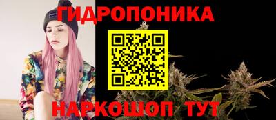 марки nbome Новозыбков