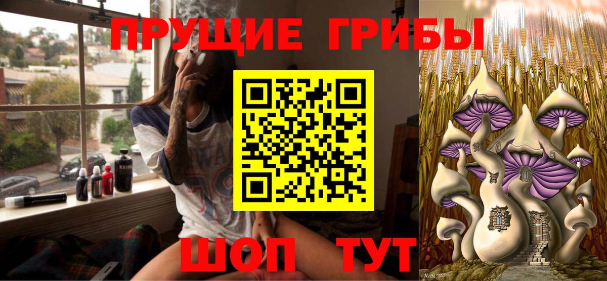 Торжок  Псилоцибиновые грибы мицелий  Вход с VPN 