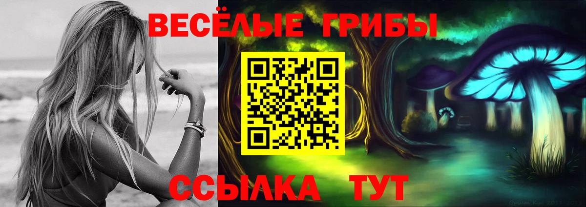 Псилоцибиновые грибы мицелий Торжок