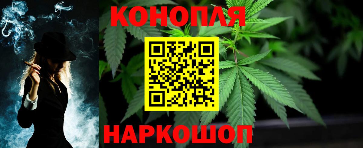 Конопля планчик Торжок
